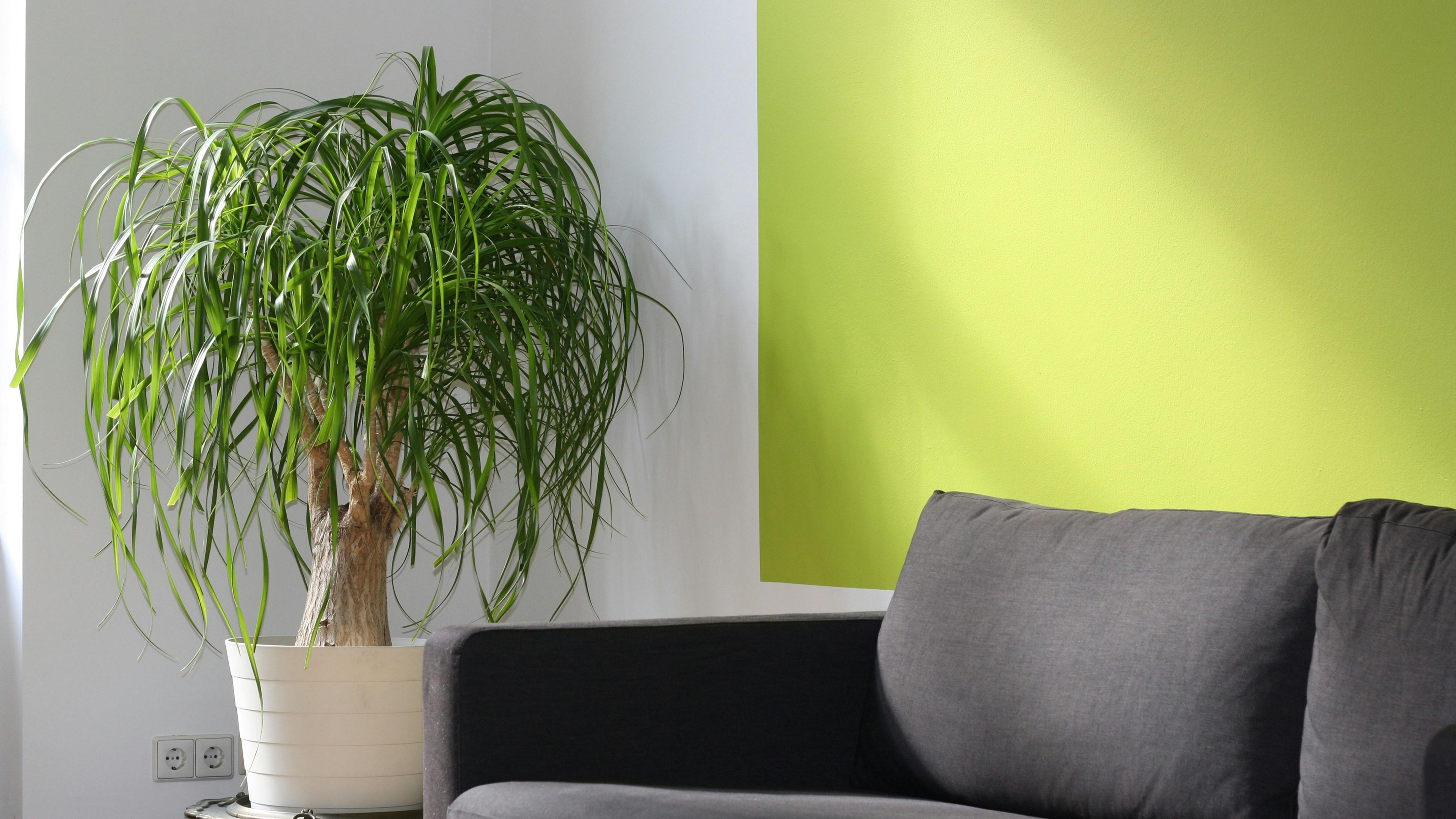 Modern Room Decor That Feel Playful and Practical