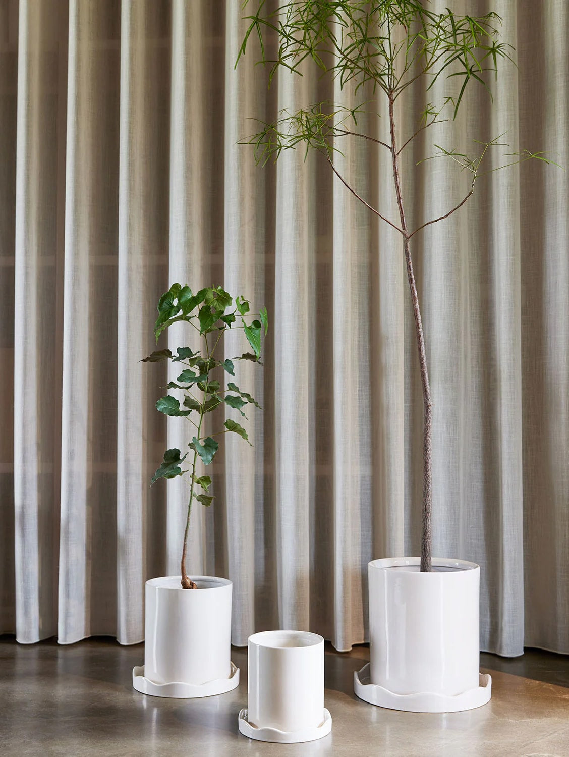 Glossy Cylinder Pot 4