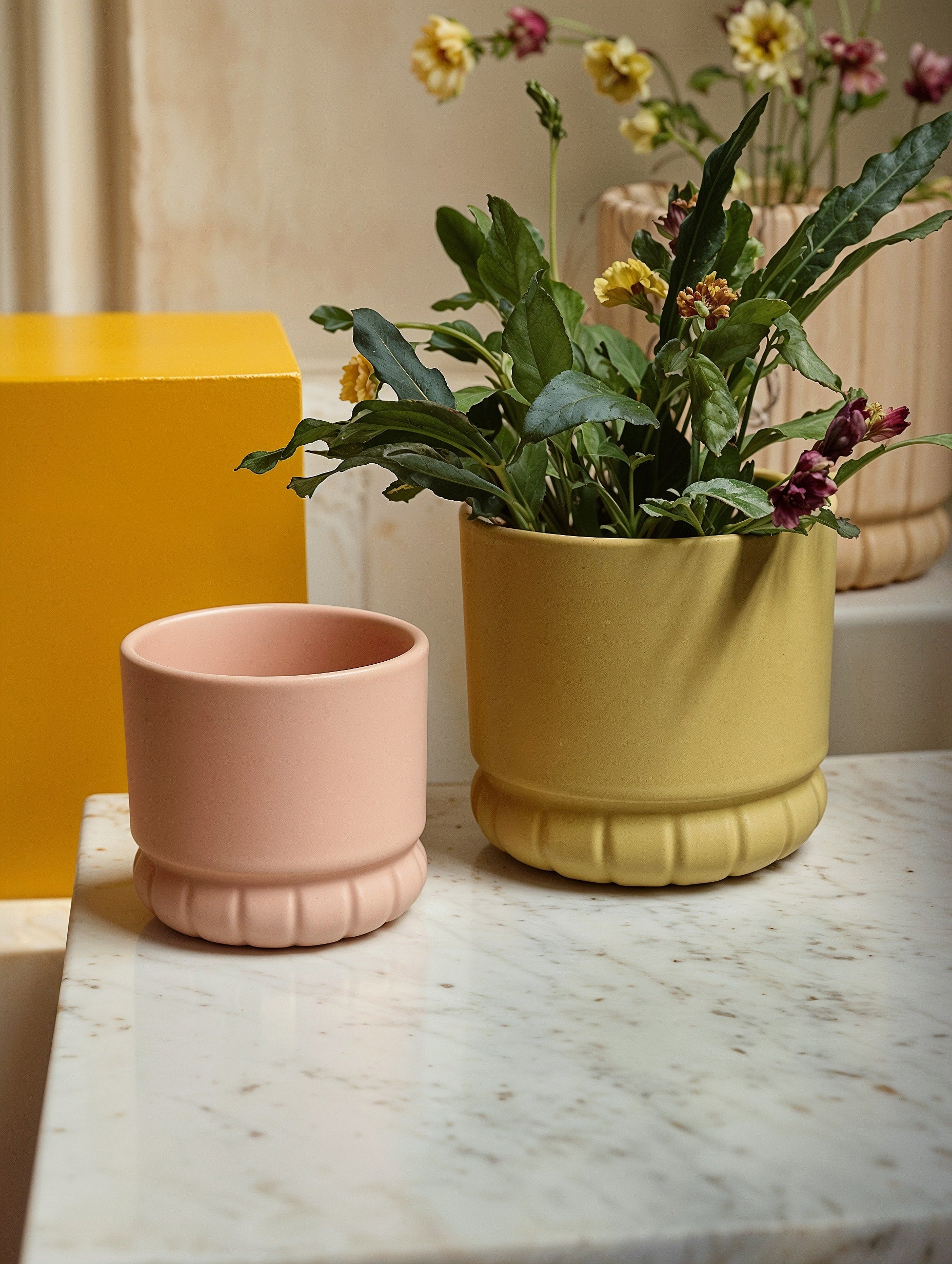Petal Base Duo 6